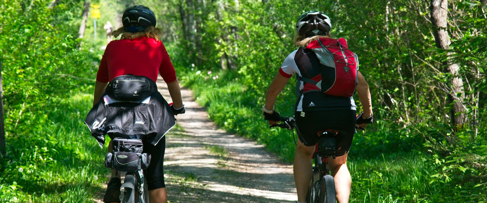 Profitez de randonnées à vélo à proximité de votre hôtel Le Prieuré de Boulogne